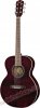 FENDER GDO-200