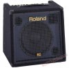 ROLAND KC-350 KOMBO