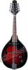 Mandolina STAGG M50 E