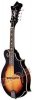 Mandolin Tennessee Economy F-1 F-Hole Florentine Model