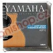 Detail produktu Struny YAMAHA FP12 PHOSPHOR BRONZE 012