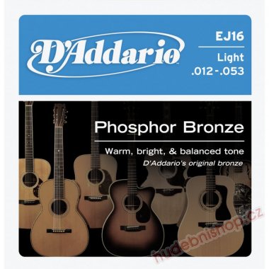 D'Addario EJ16