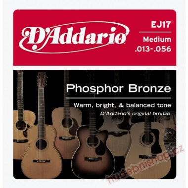 D'Addario EJ17