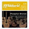 D'Addario EJ19