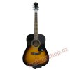 EPIPHONE DR 100 VS
