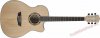 Washburn Apprentice AG40CE Natural Elektroakustick� kytara