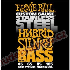 Ernie Ball 2843