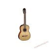 Cort AC100 OP