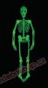 UV kostlivec 150cm